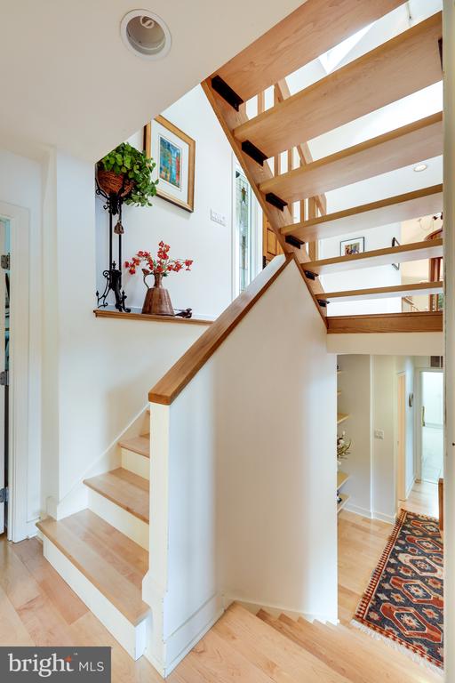 2146 OWLS COVE LANE