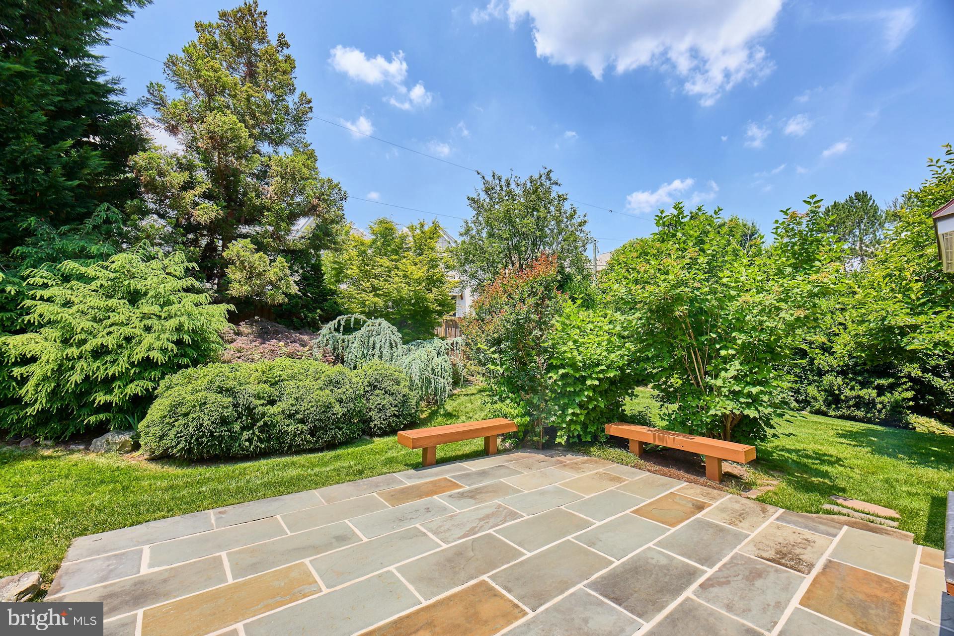 1505 CHAIN BRIDGE COURT