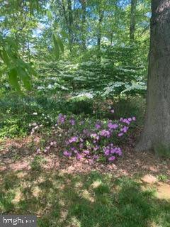 1917 MARTHAS ROAD