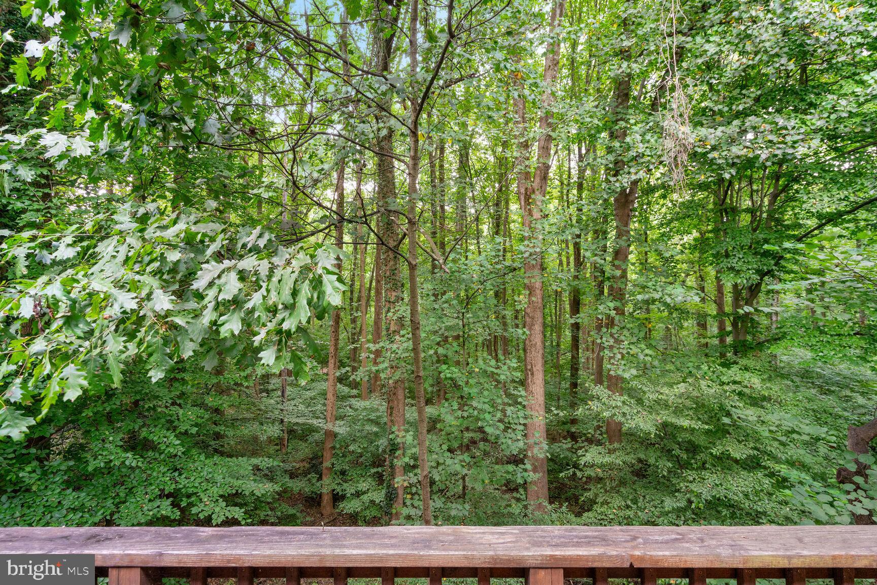 5748 WALNUT WOOD LANE