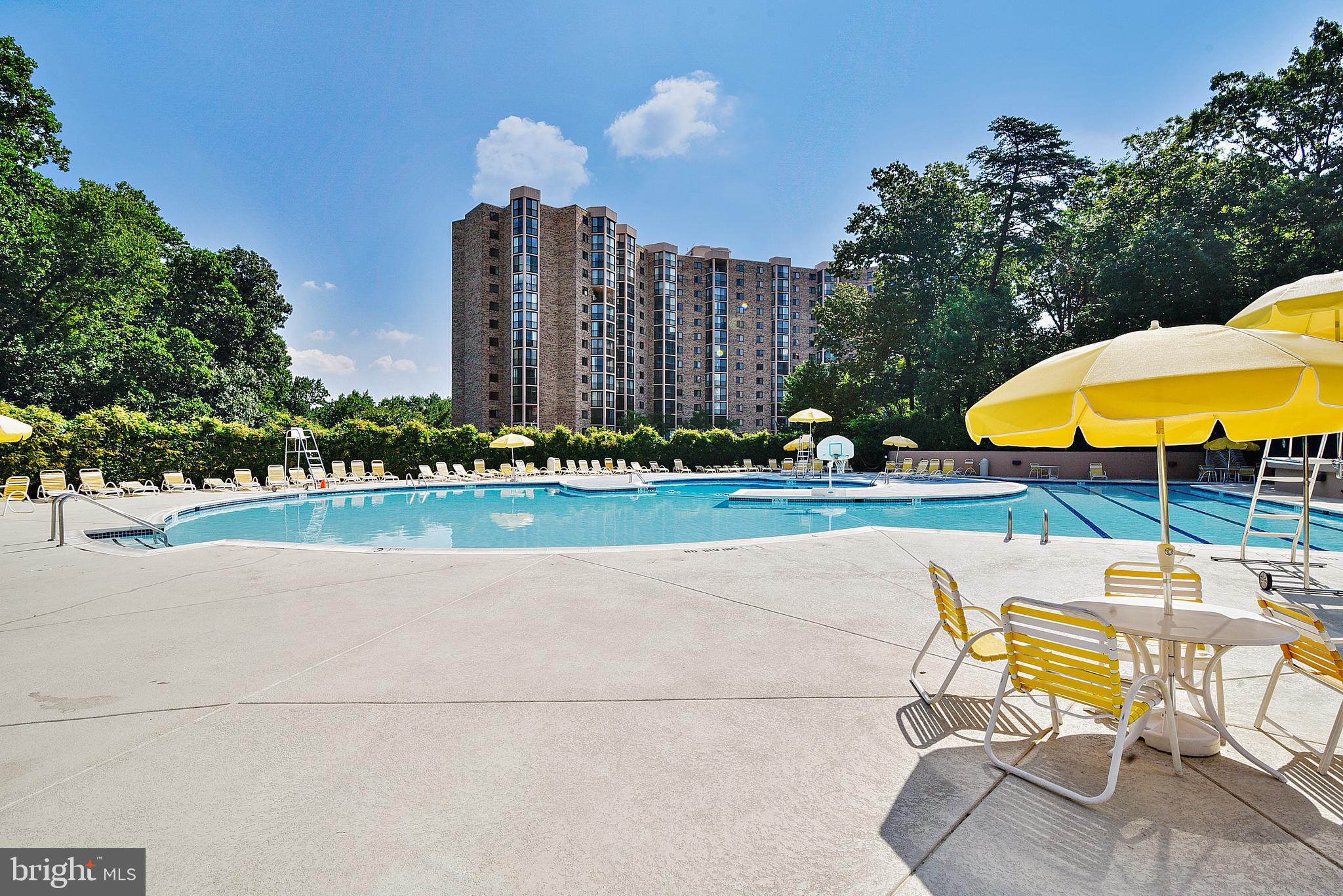 5903 MOUNT EAGLE DRIVE 206