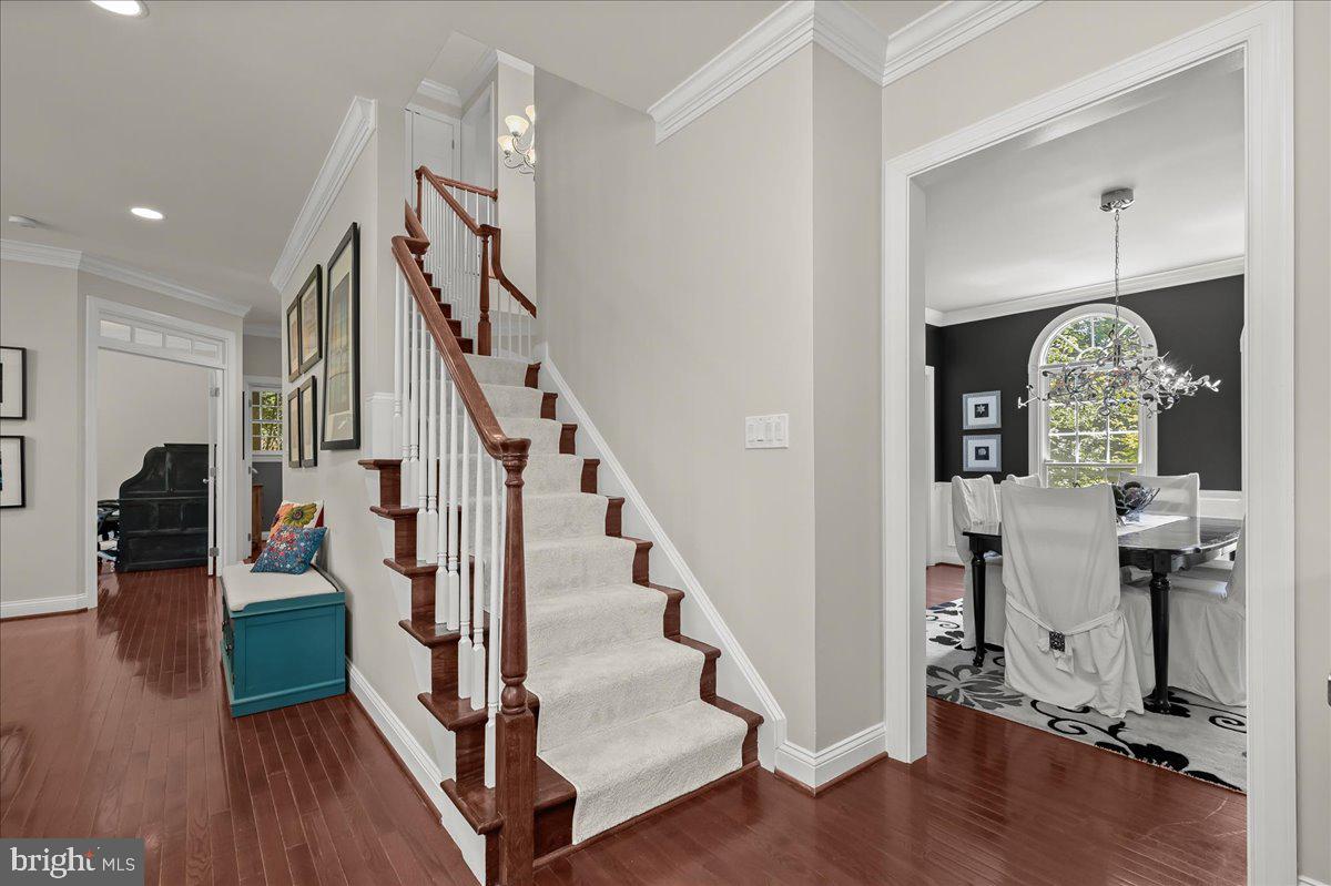 3127 WOODLAND LANE
