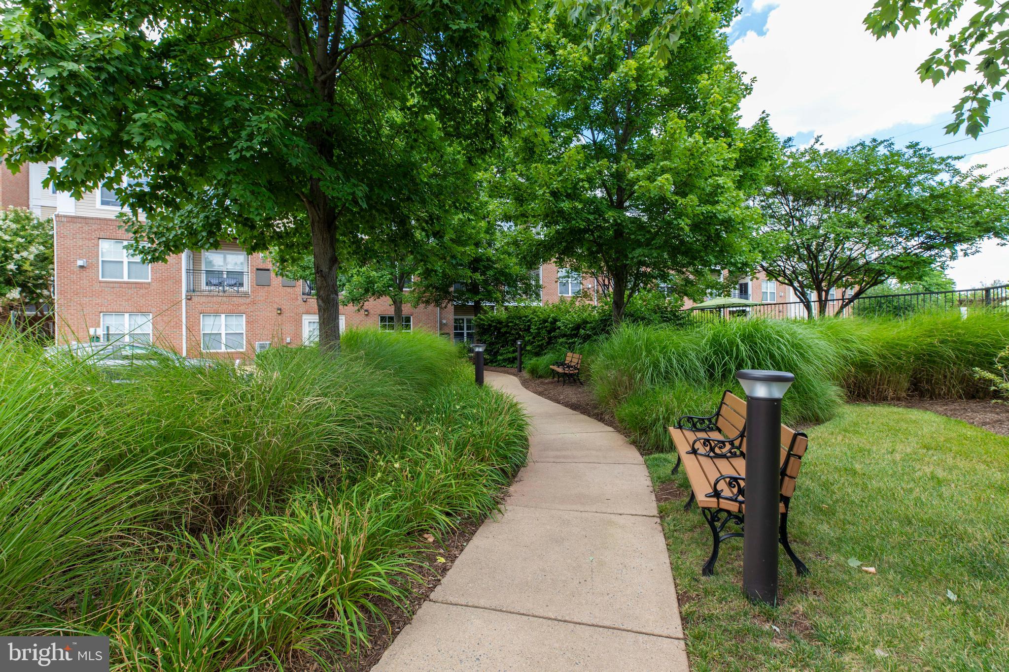 3840 LIGHTFOOT STREET 246
