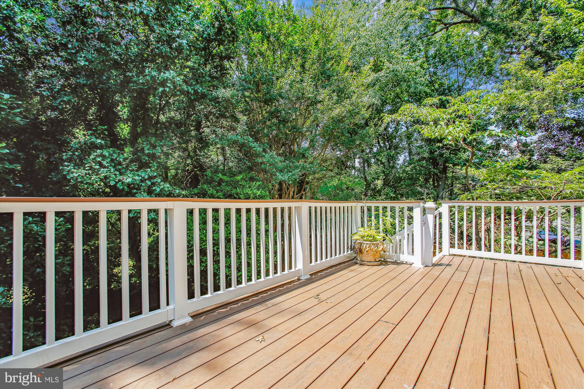 123 ROLAND COURT SW