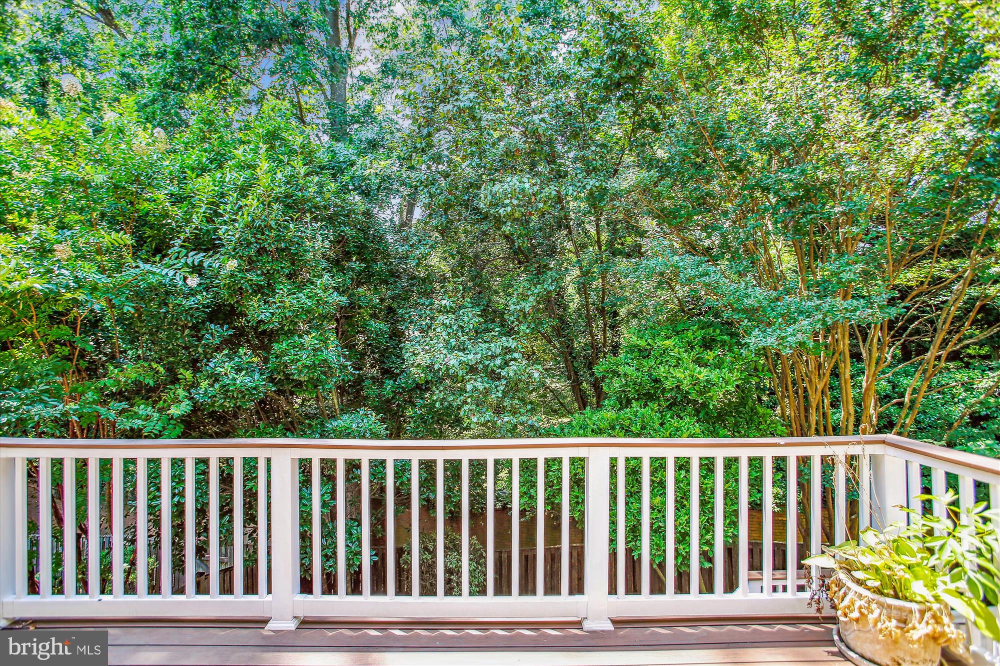 123 ROLAND COURT SW
