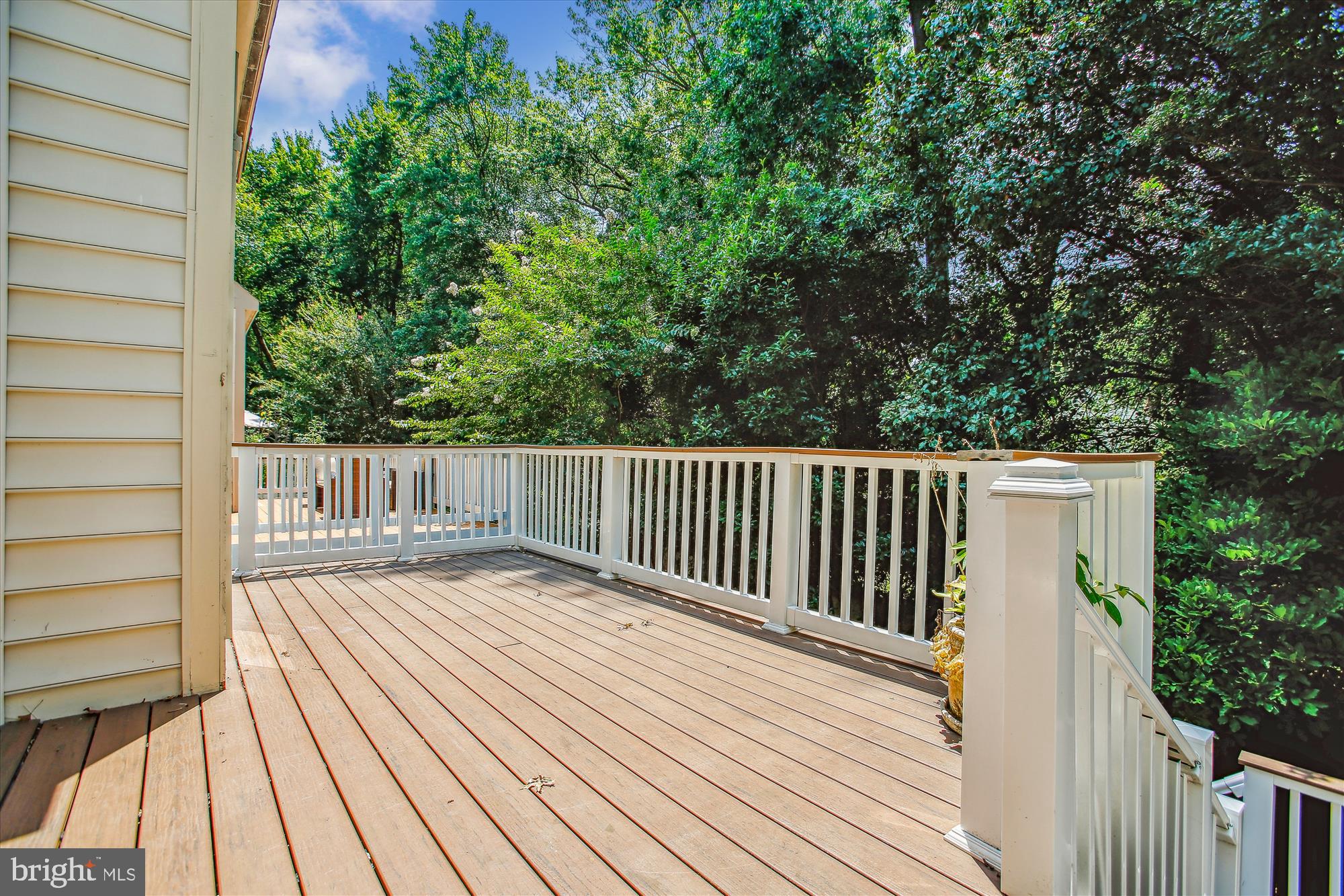 123 ROLAND COURT SW