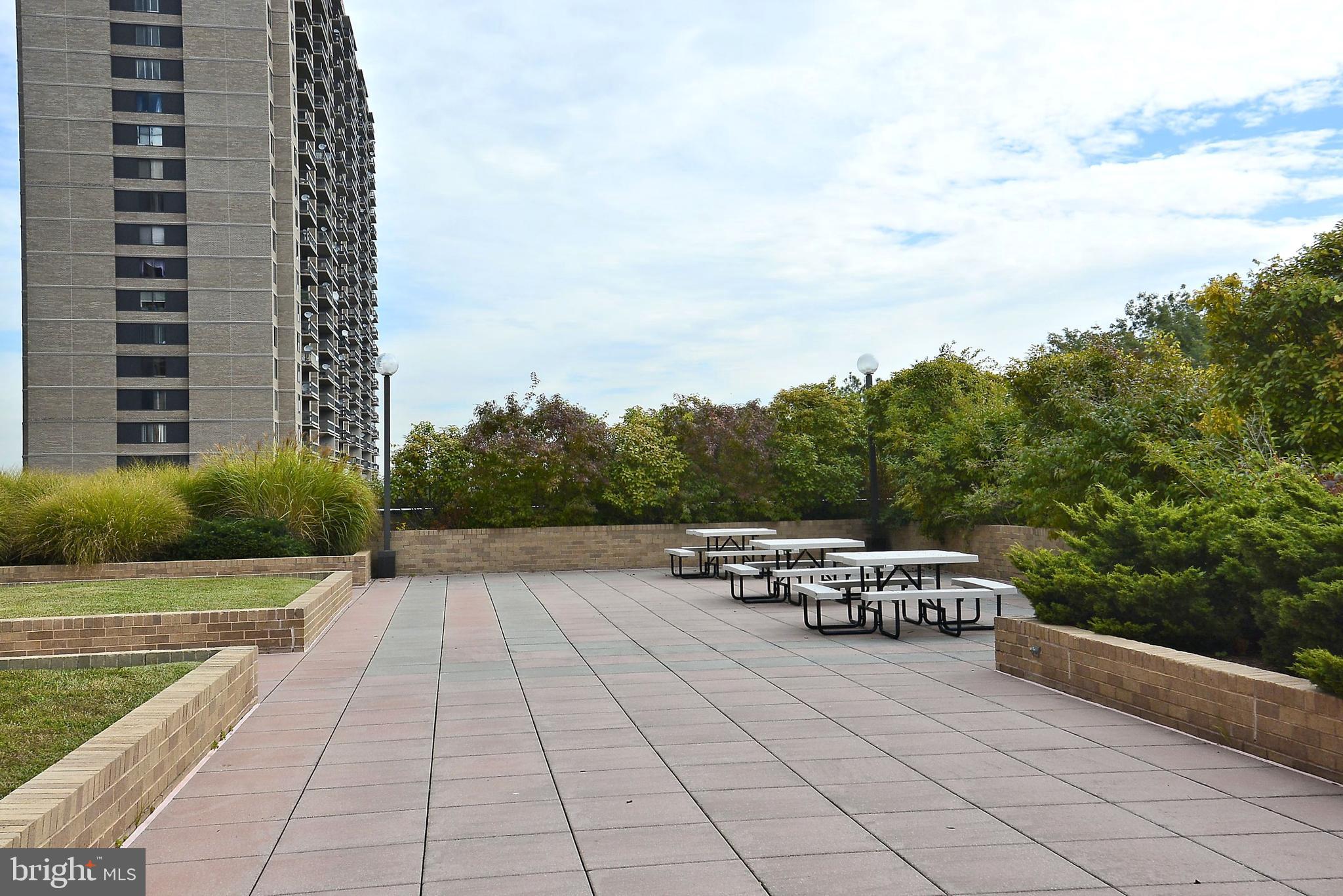 3709 S GEORGE MASON DRIVE 1705