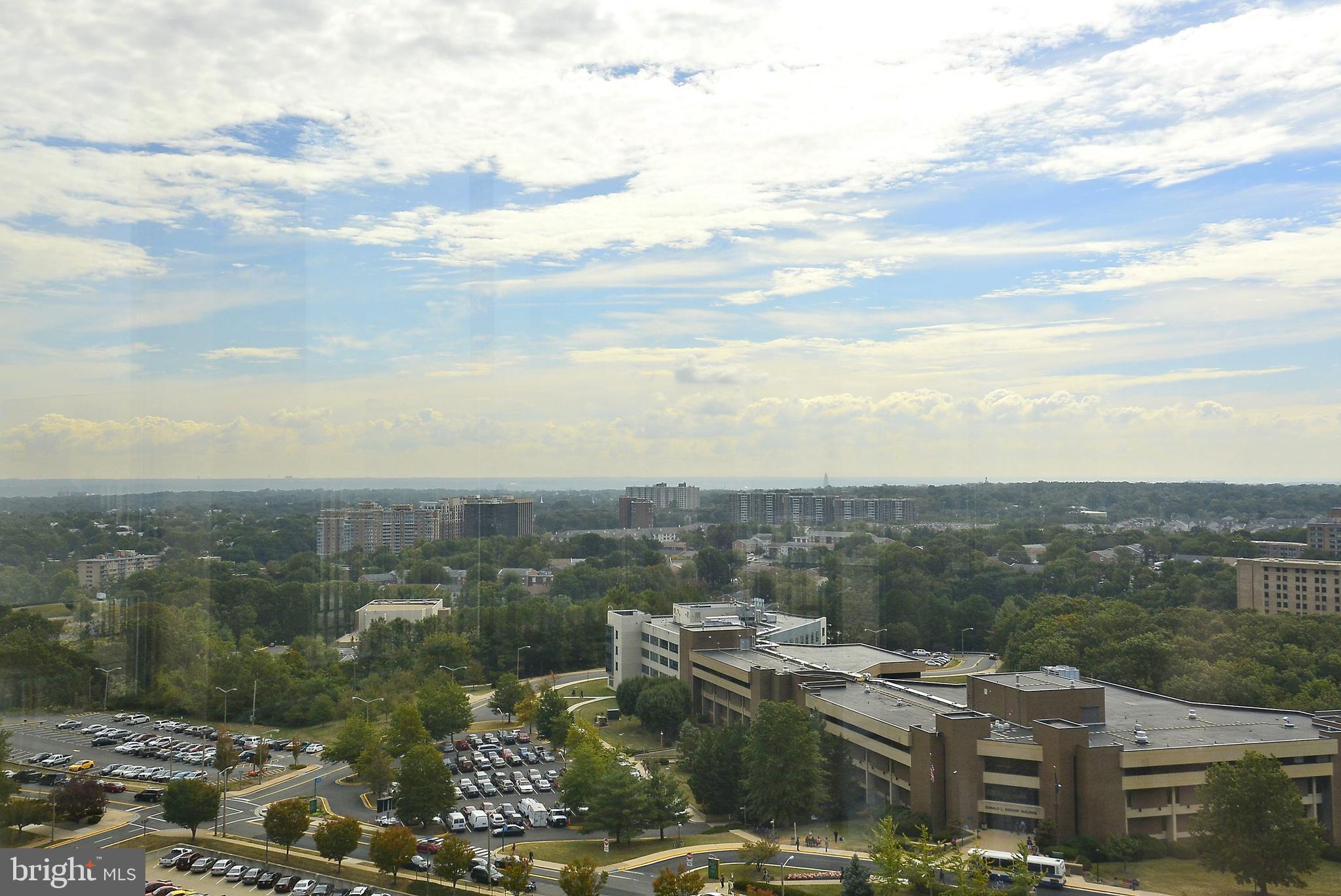 3709 S GEORGE MASON DRIVE 1705