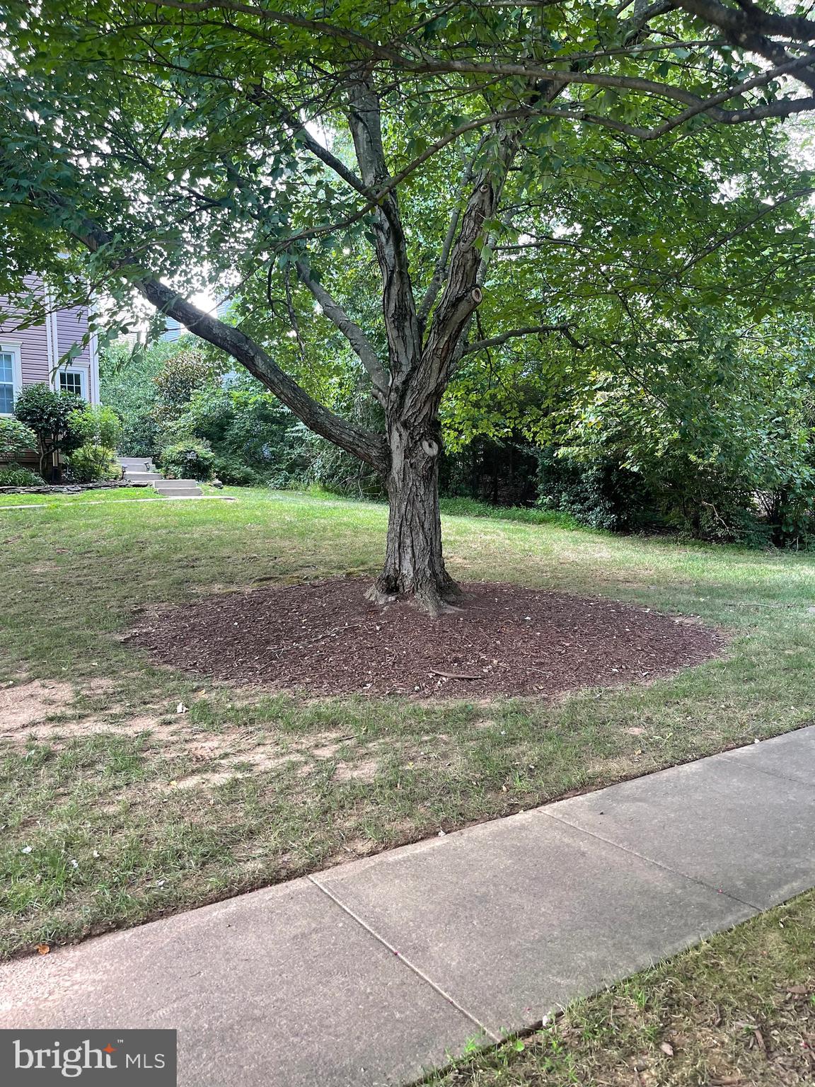11974 SENTINEL POINT COURT