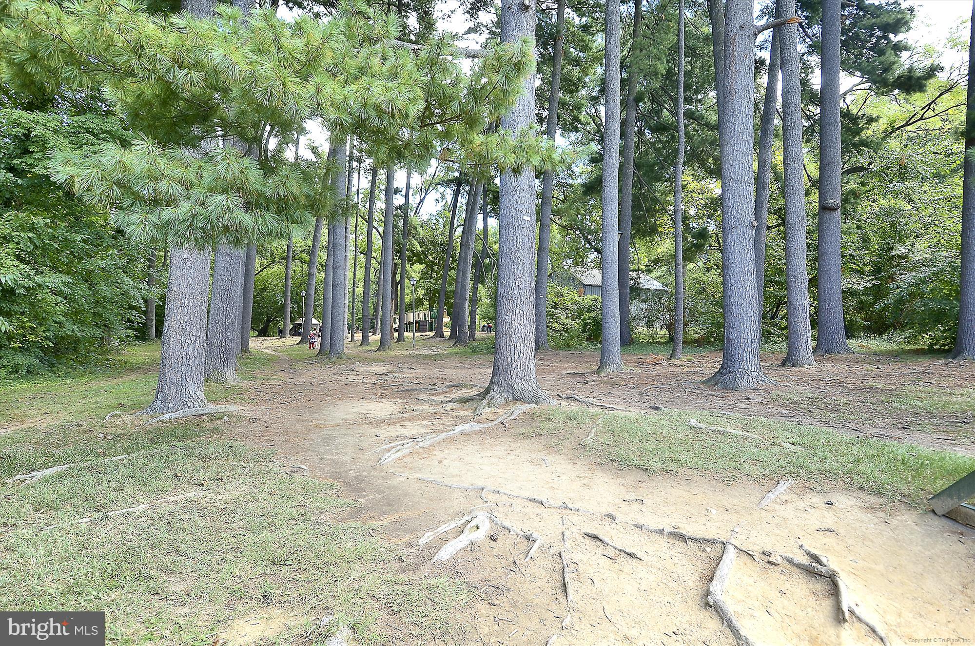 2824 SUMMERFIELD ROAD