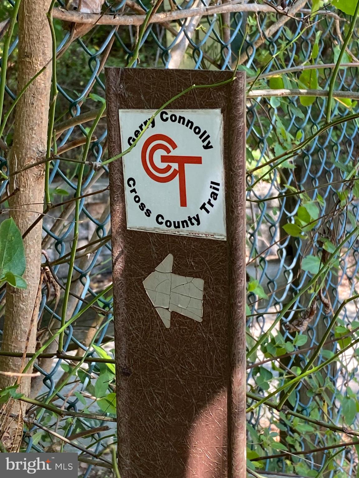 8603 BEECH HOLLOW LANE