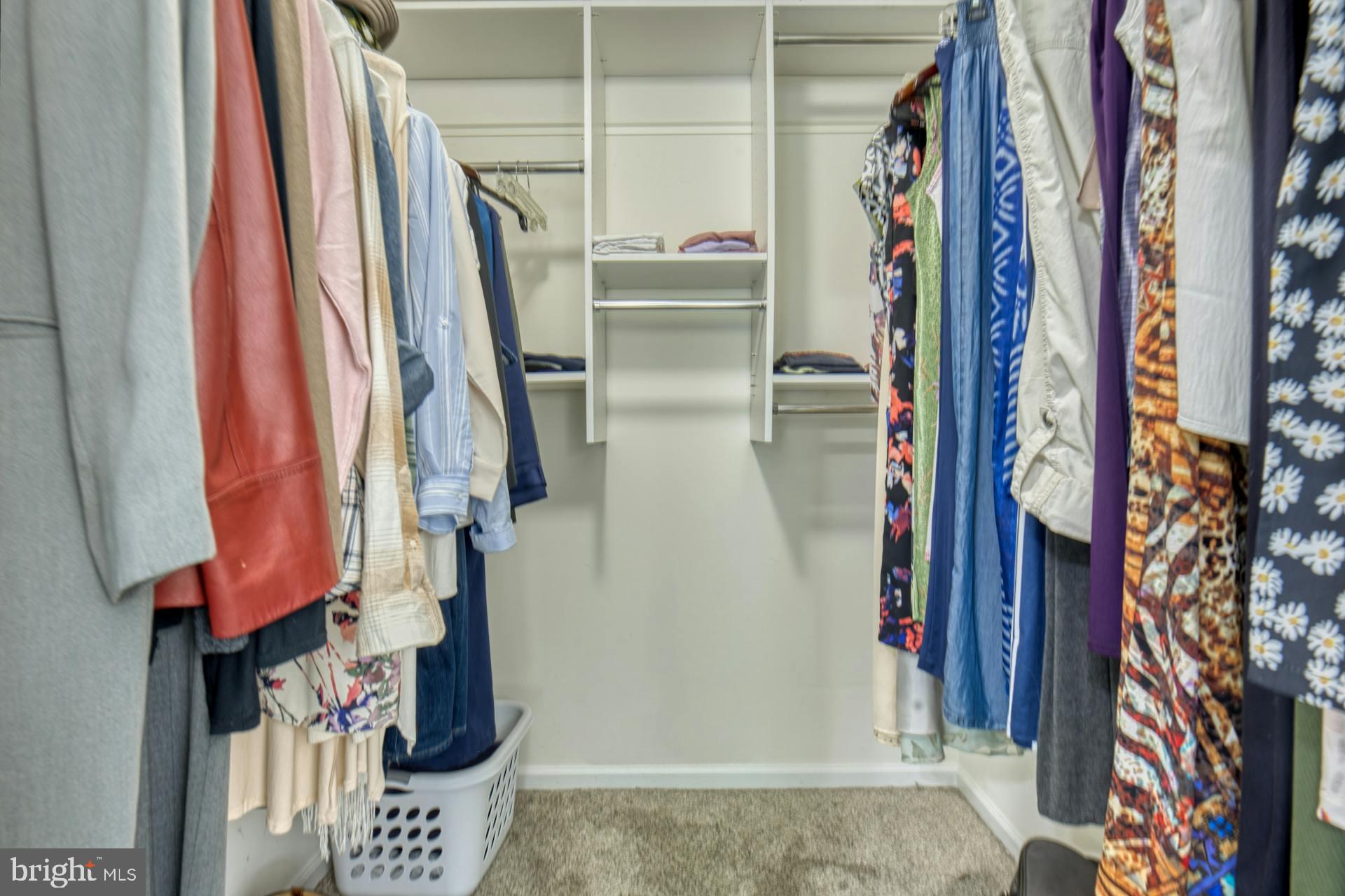 8603 BEECH HOLLOW LANE