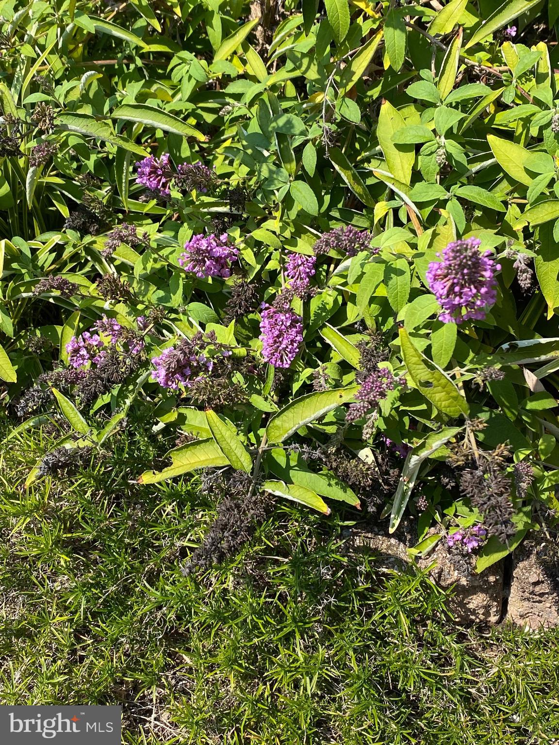 8603 BEECH HOLLOW LANE