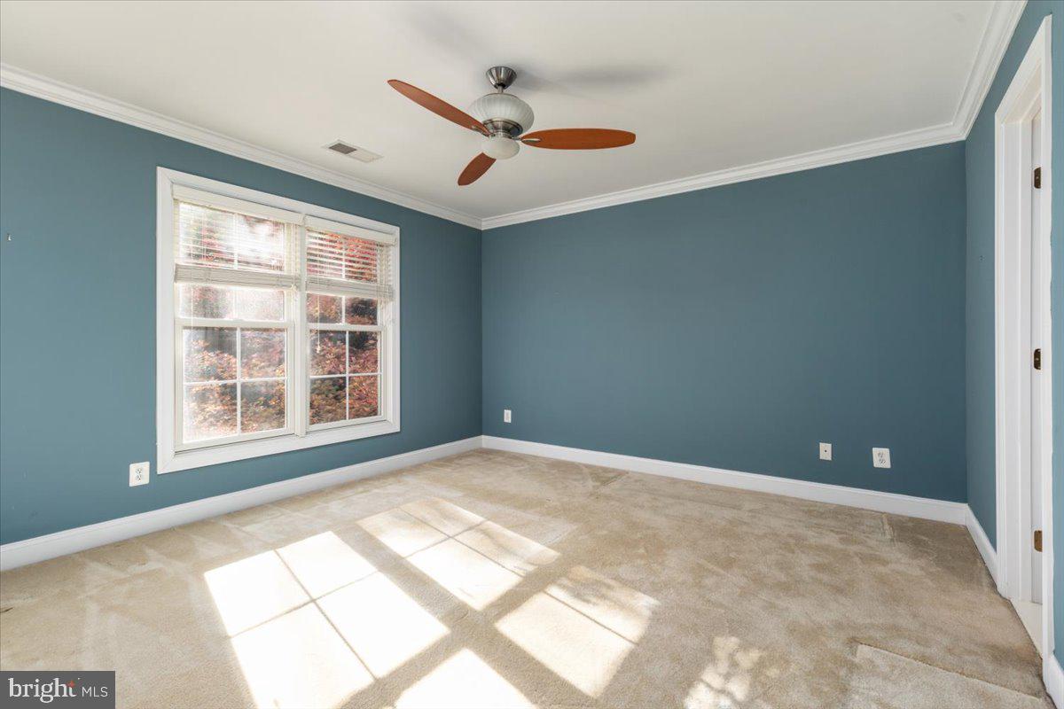 3399 ANNANDALE