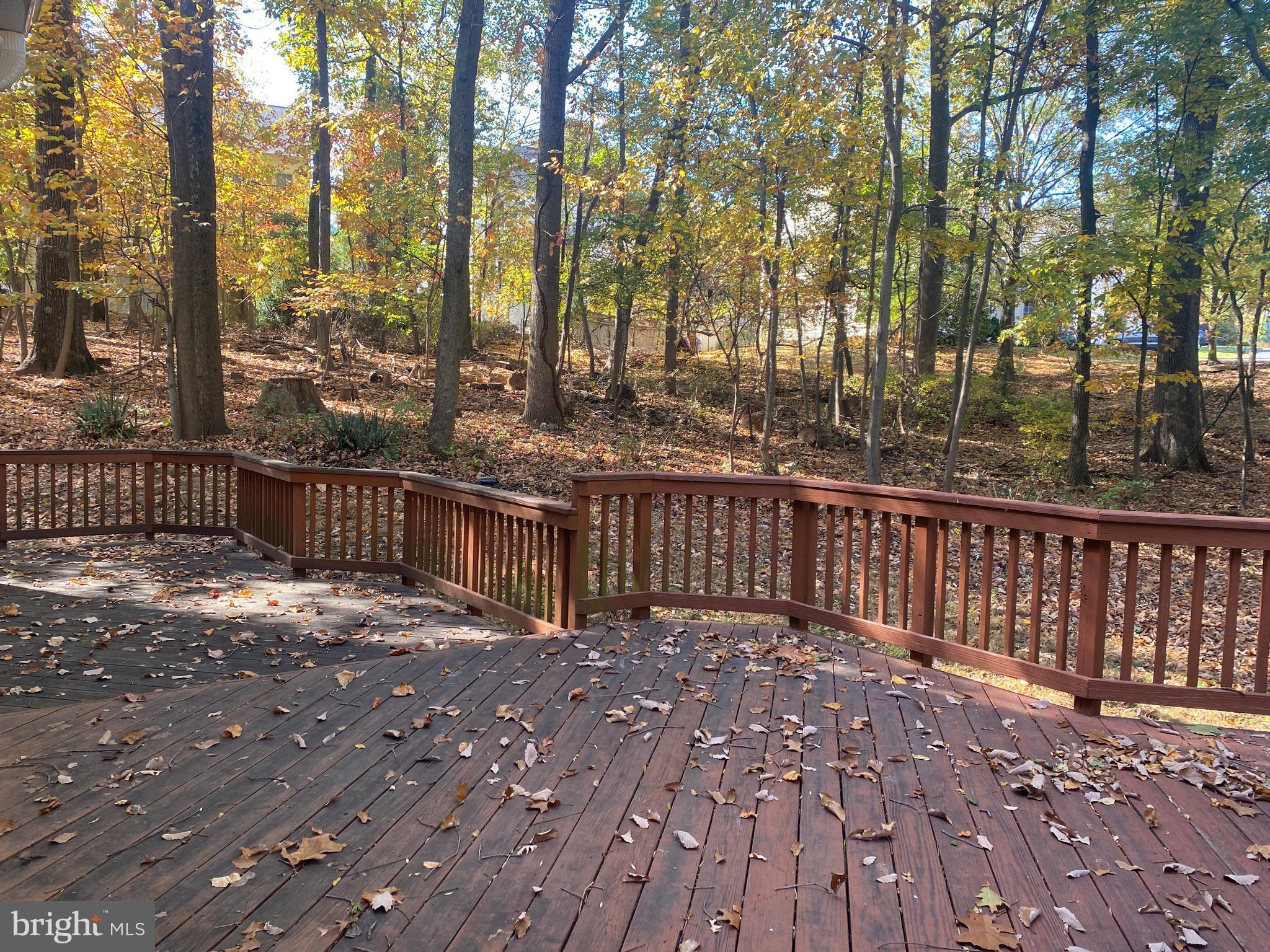 2392 SHREVE HILL ROAD