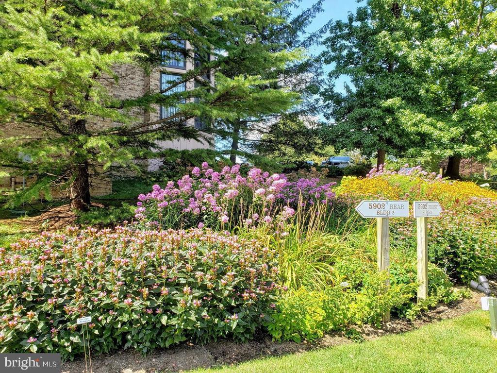 5903 MOUNT EAGLE DRIVE 1502