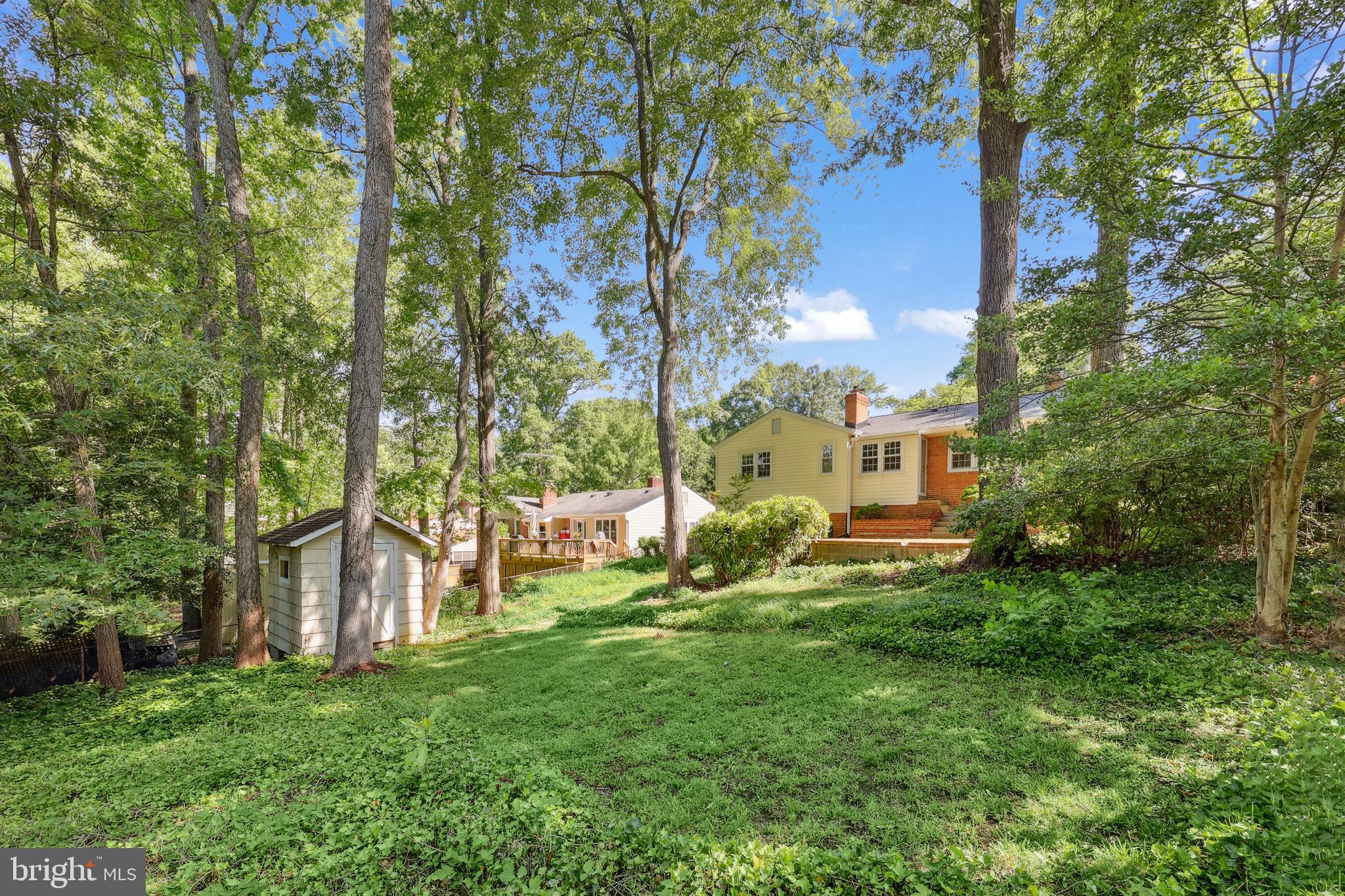 1113 CAMERON ROAD