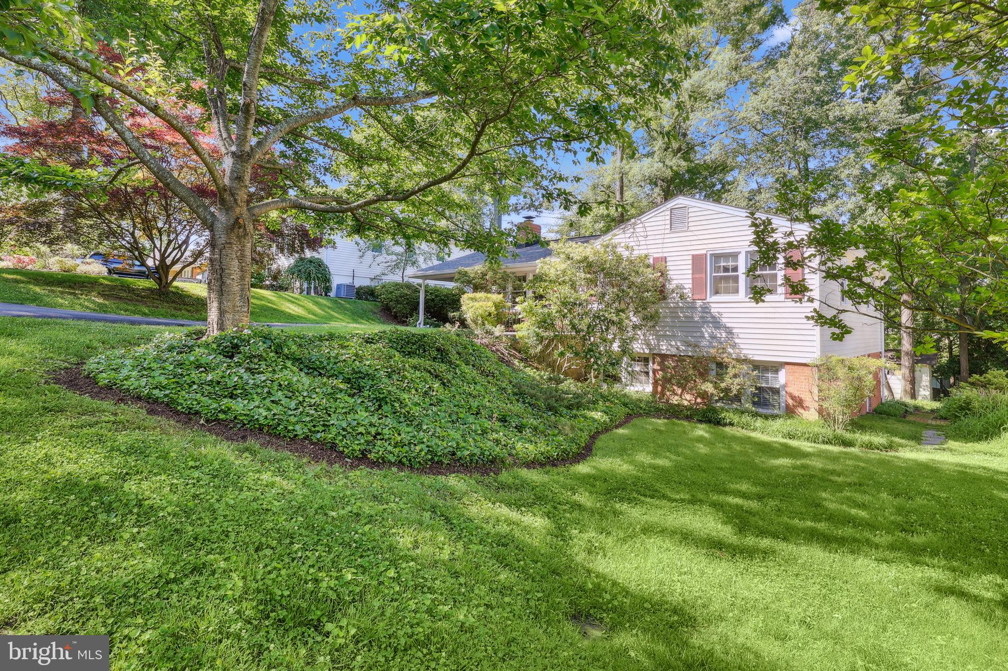 1113 CAMERON ROAD