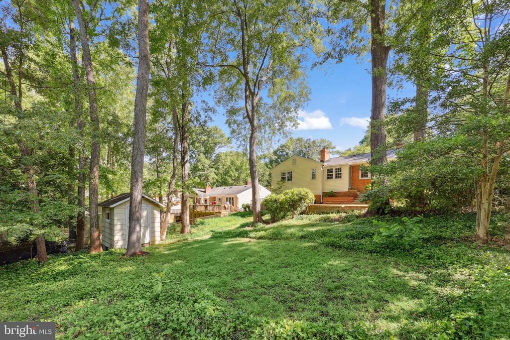 1113 CAMERON ROAD