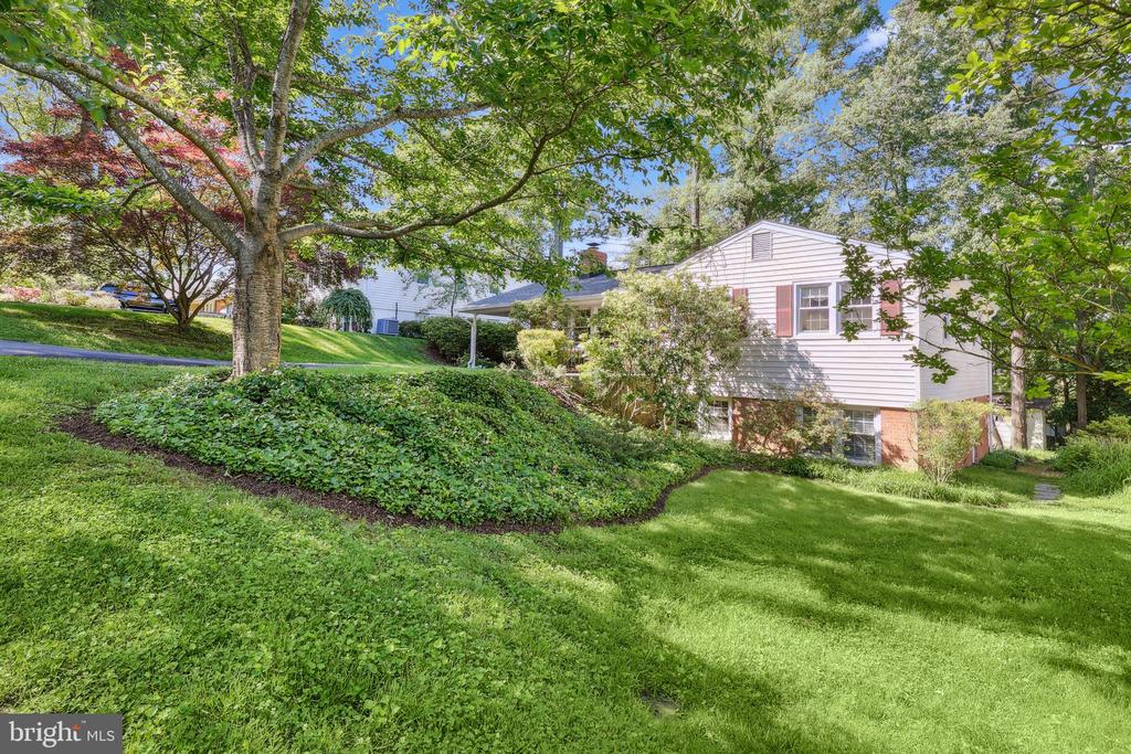 1113 CAMERON ROAD