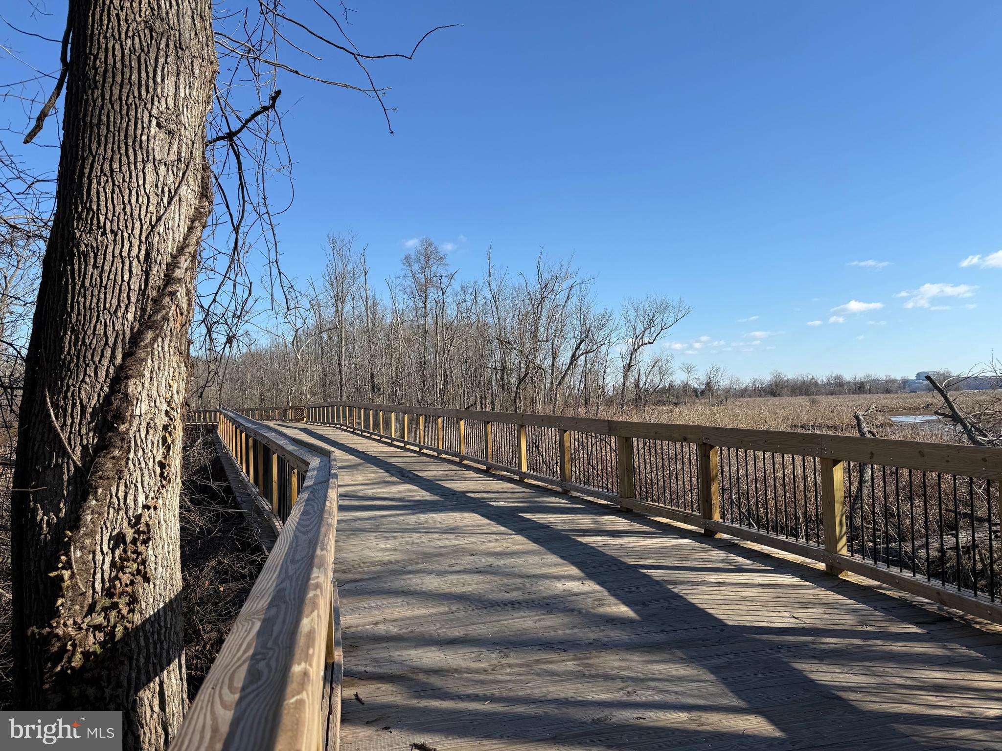 1212 SHENANDOAH ROAD