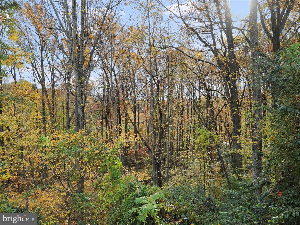 1350 HUNTER MILL ROAD