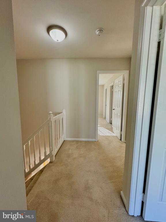 3888 MOHR OAK COURT