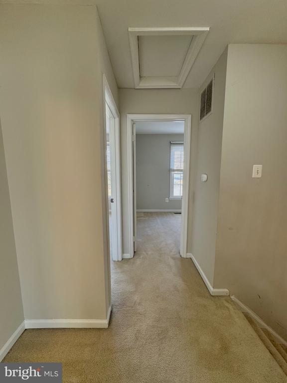 3888 MOHR OAK COURT