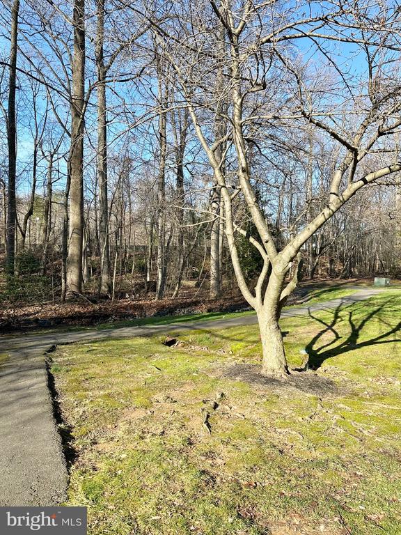 3888 MOHR OAK COURT