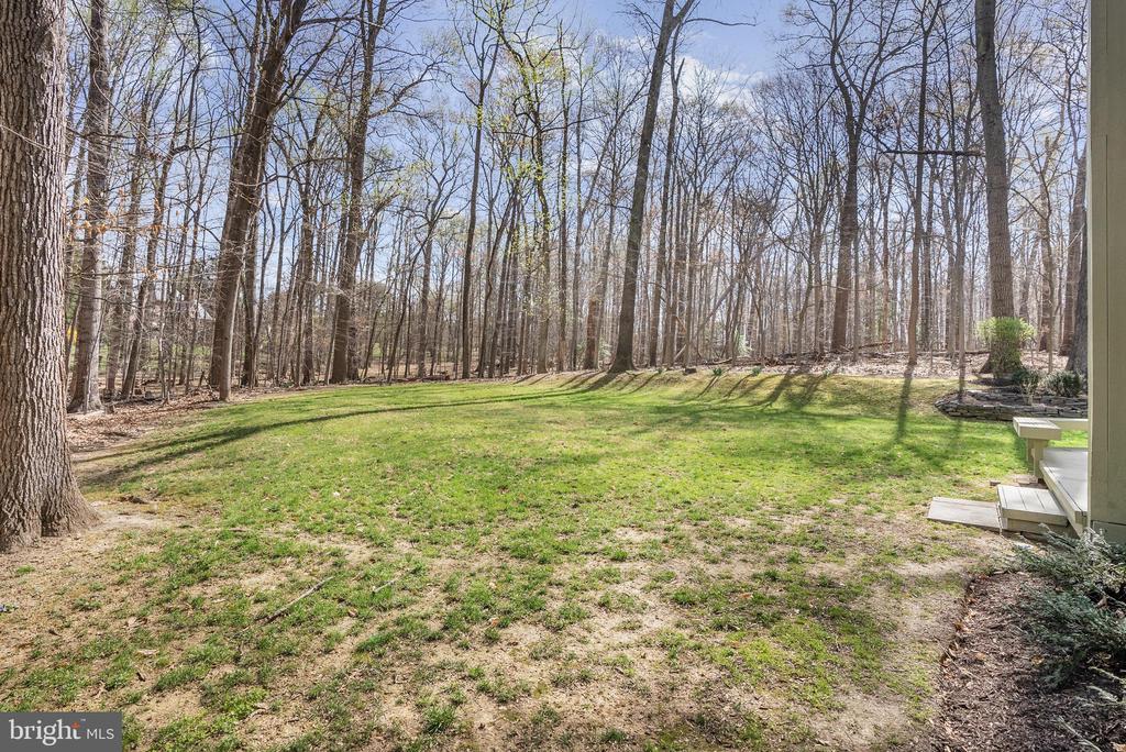 10116 WALKER WOODS DRIVE