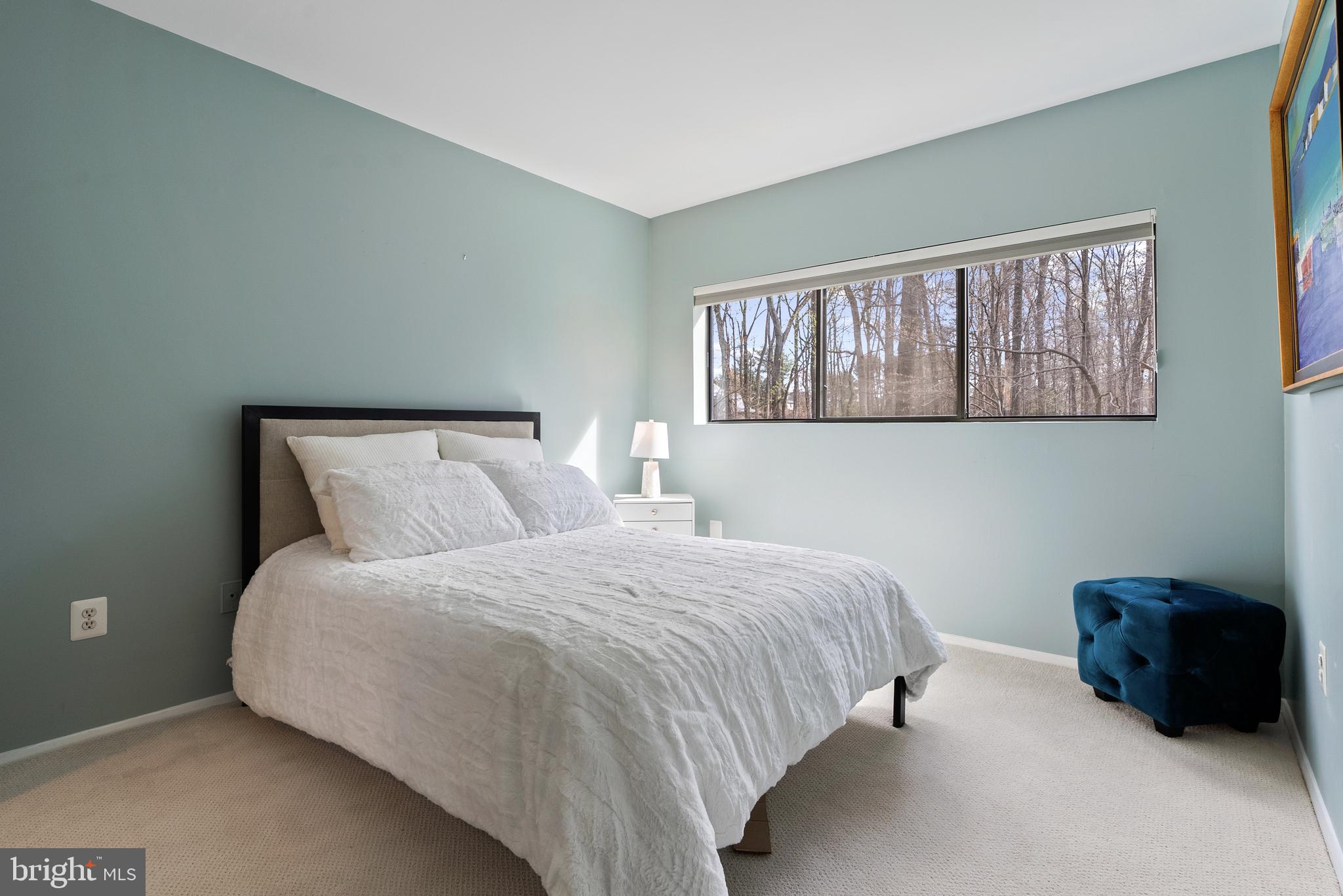 10116 WALKER WOODS DRIVE