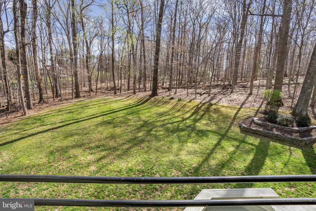 10116 WALKER WOODS DRIVE