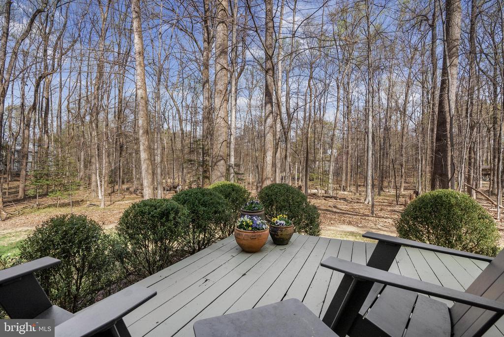10116 WALKER WOODS DRIVE