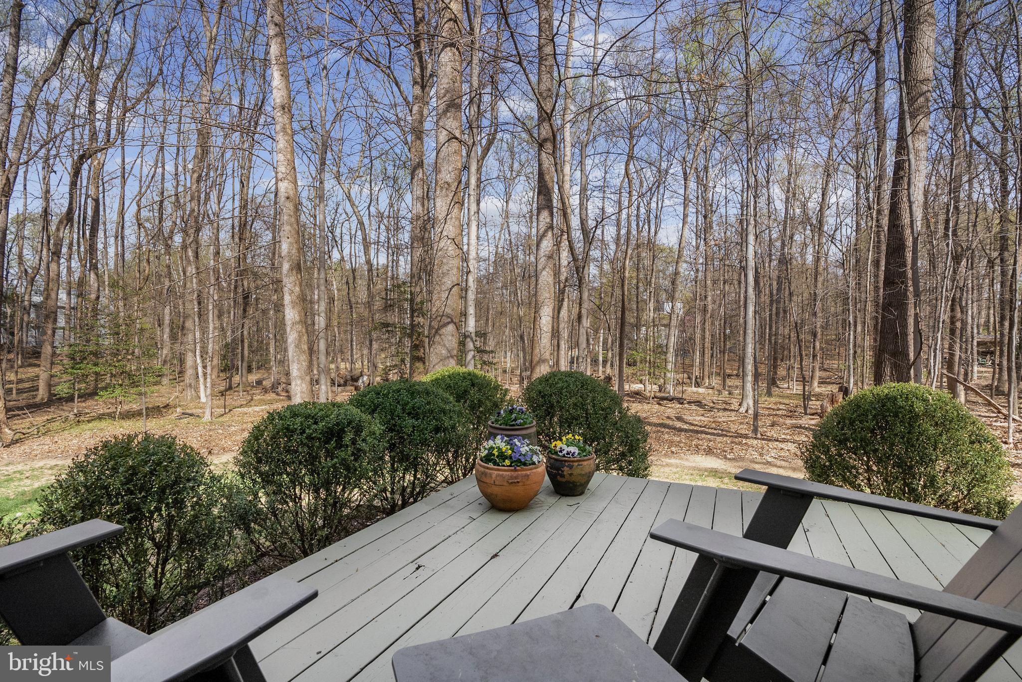 10116 WALKER WOODS DRIVE