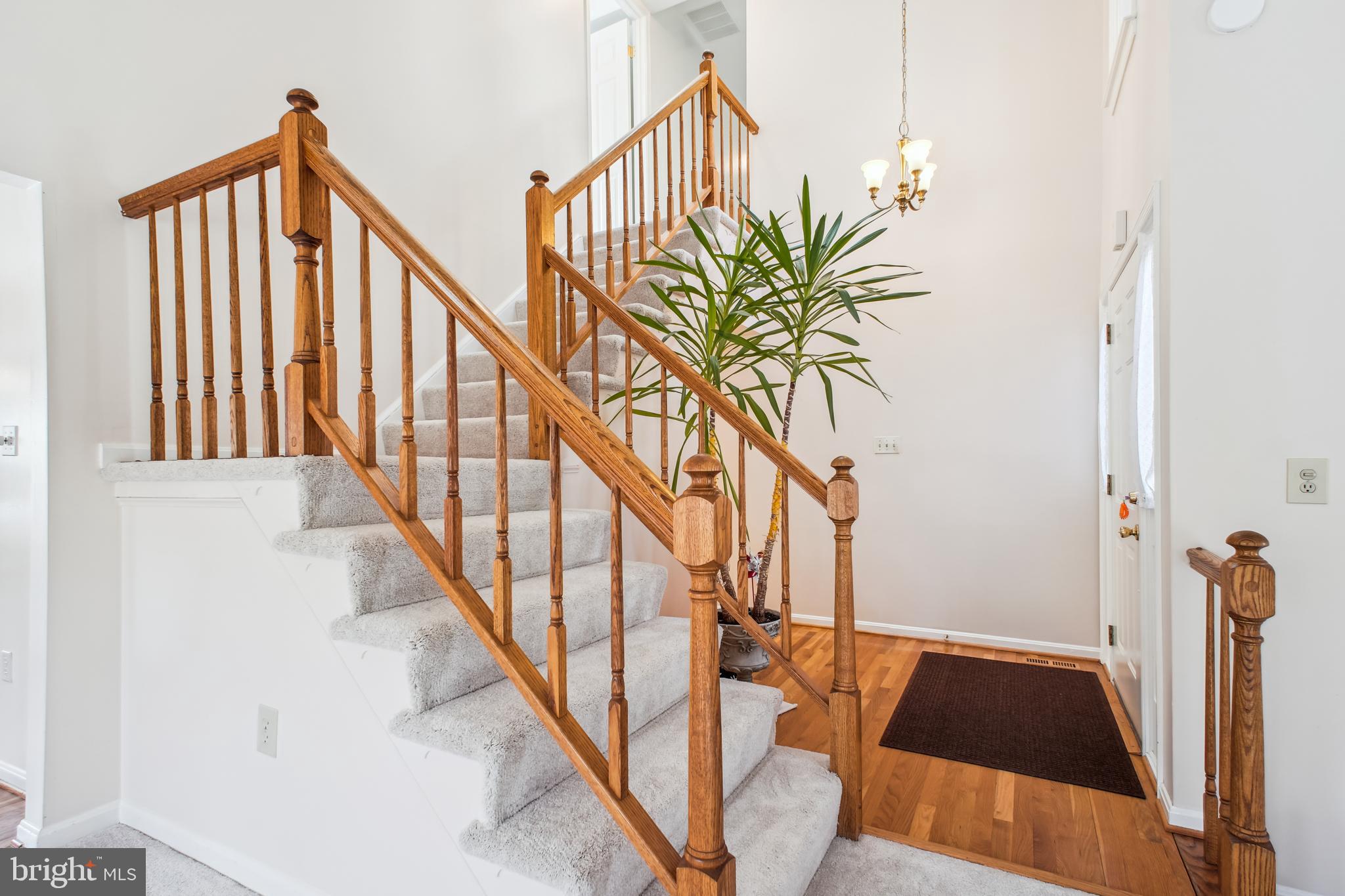 8613 GROVELAND DRIVE