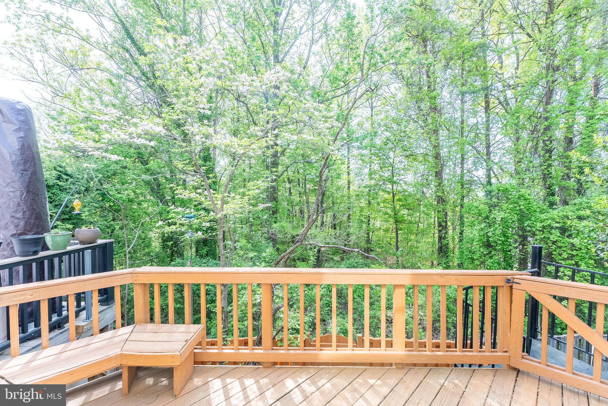 8075 SKY BLUE DRIVE