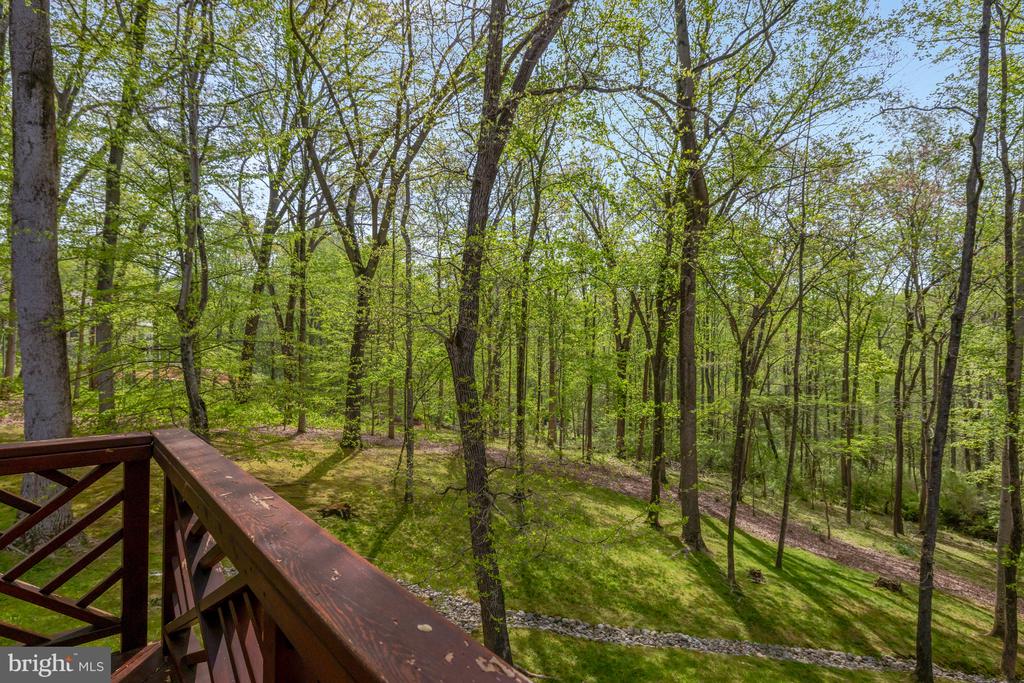 9115 MILL POND VALLEY DRIVE