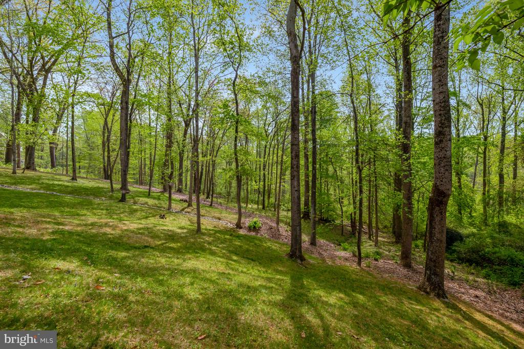 9115 MILL POND VALLEY DRIVE