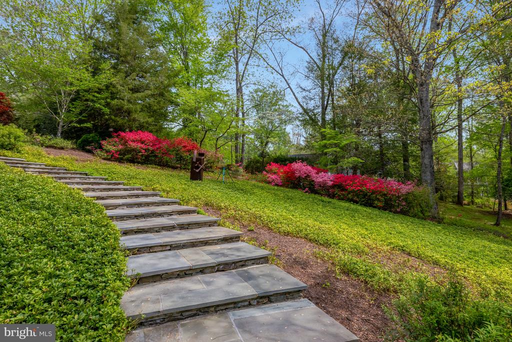 9115 MILL POND VALLEY DRIVE
