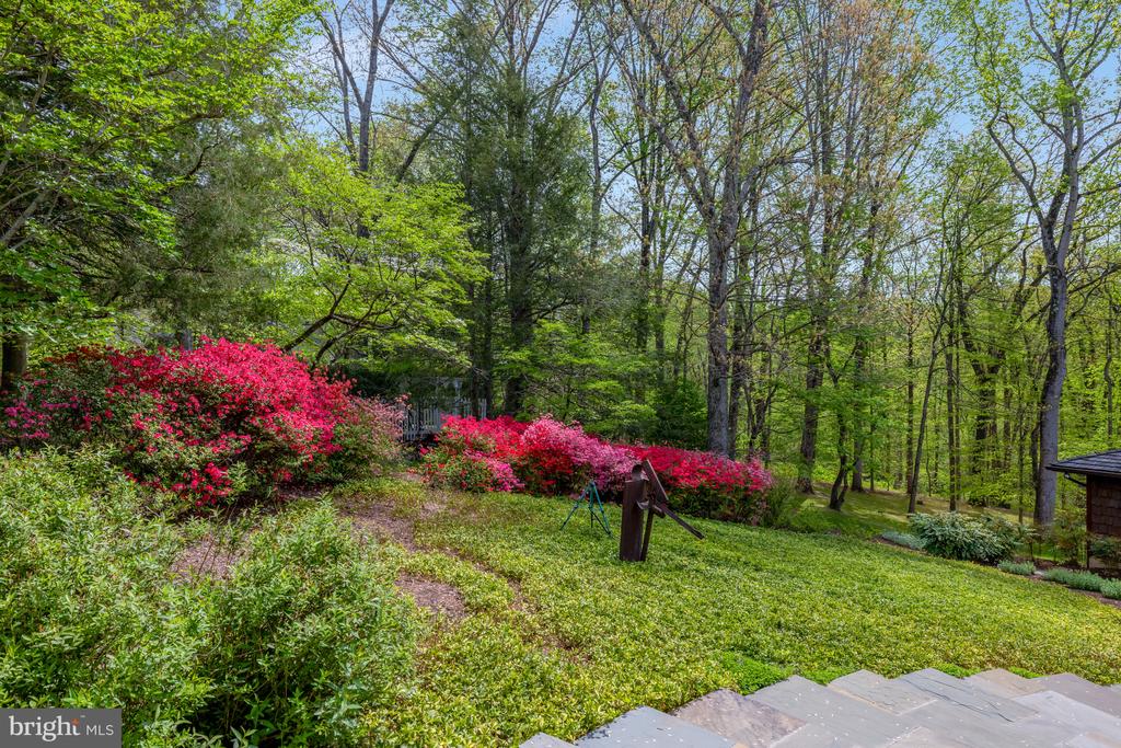 9115 MILL POND VALLEY DRIVE