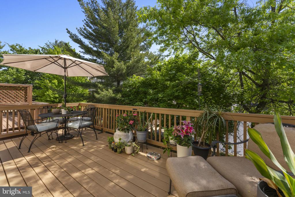 2011 GALLOWS TREE COURT