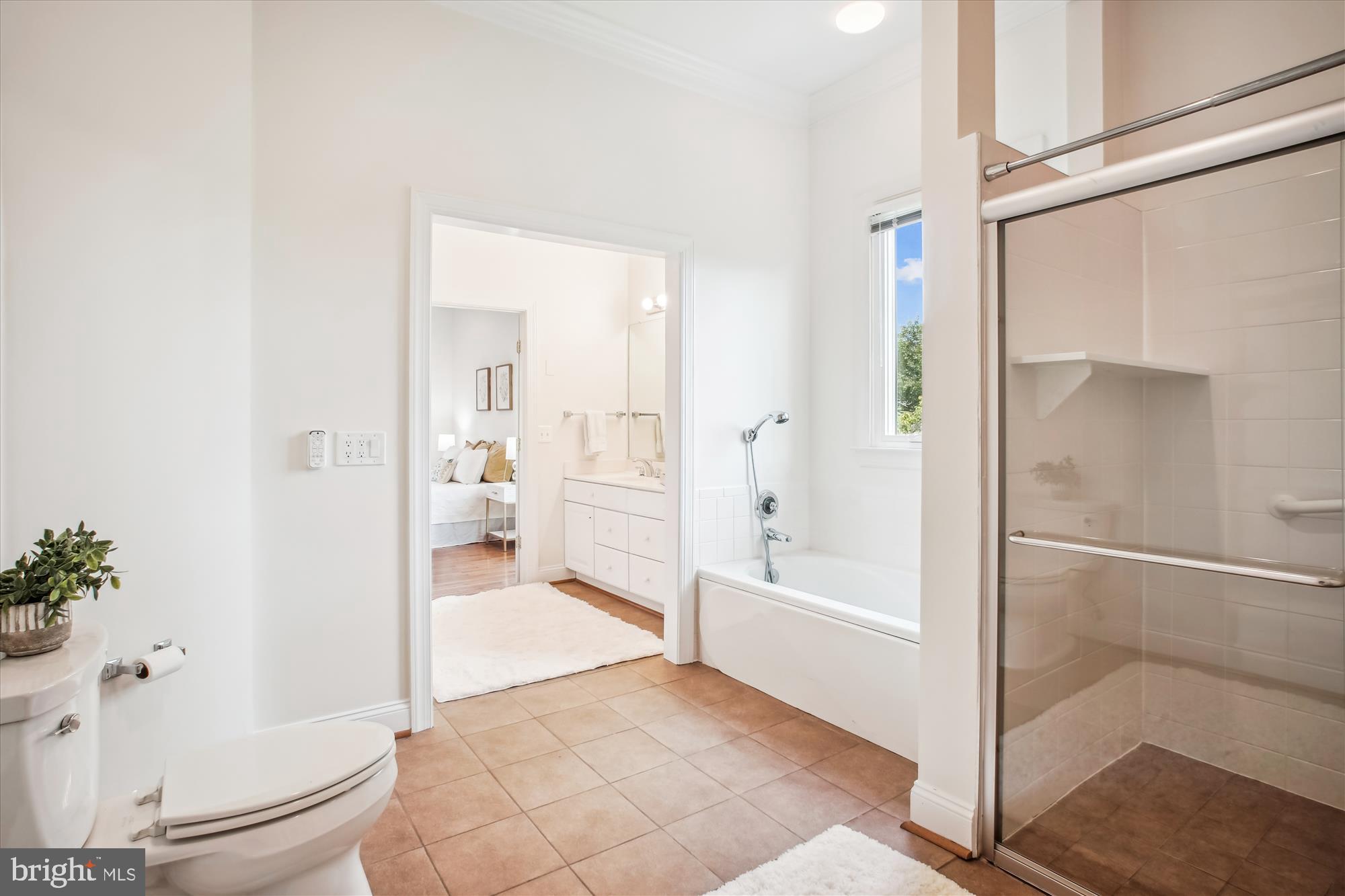 10601 LITTLE RUN FARM COURT