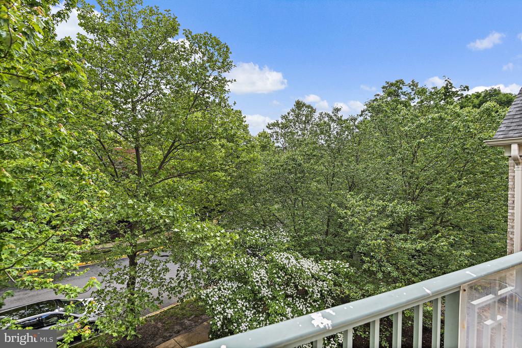 12160 ABINGTON HALL PLACE 303