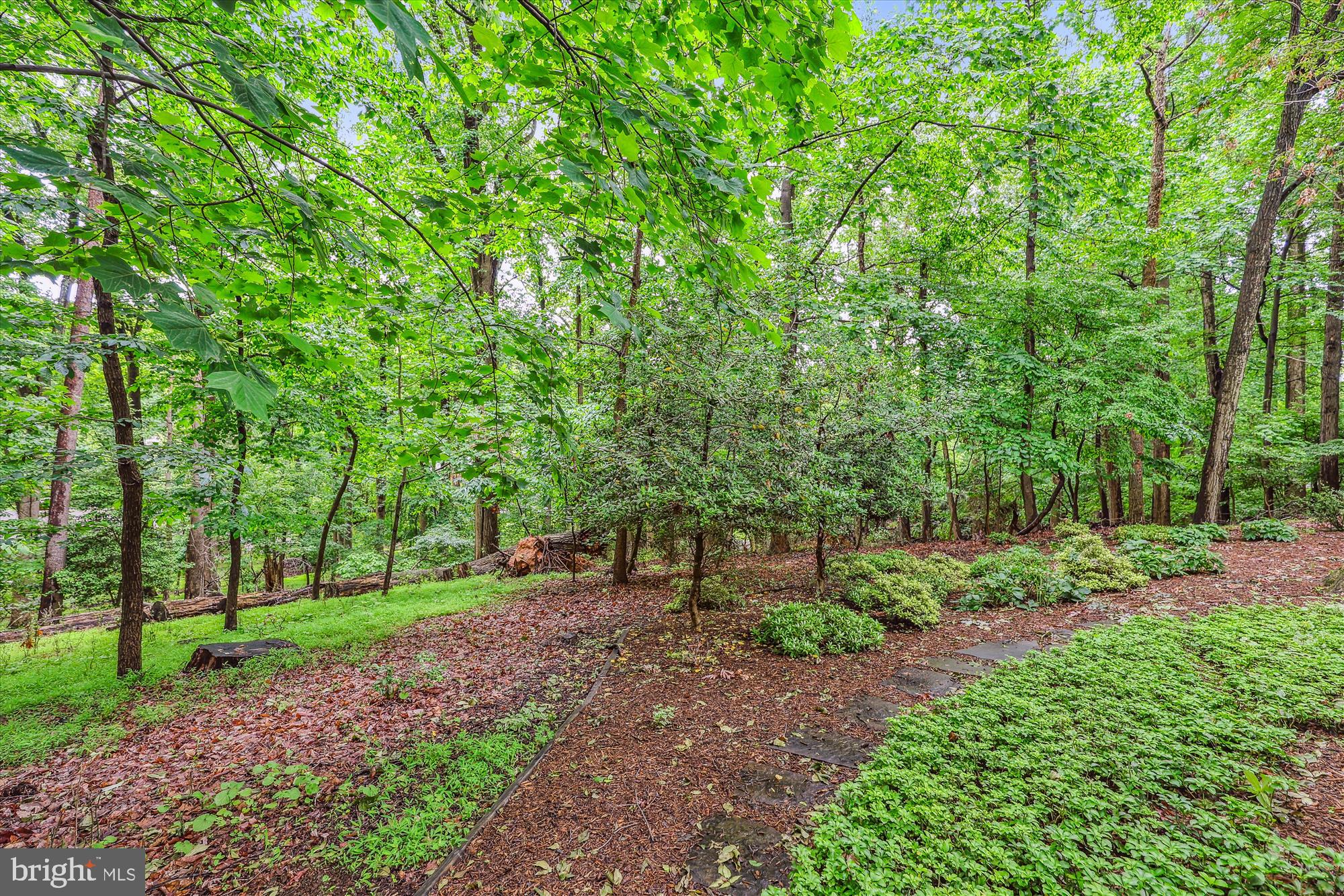 2032 FRANKLIN CLUSTER COURT