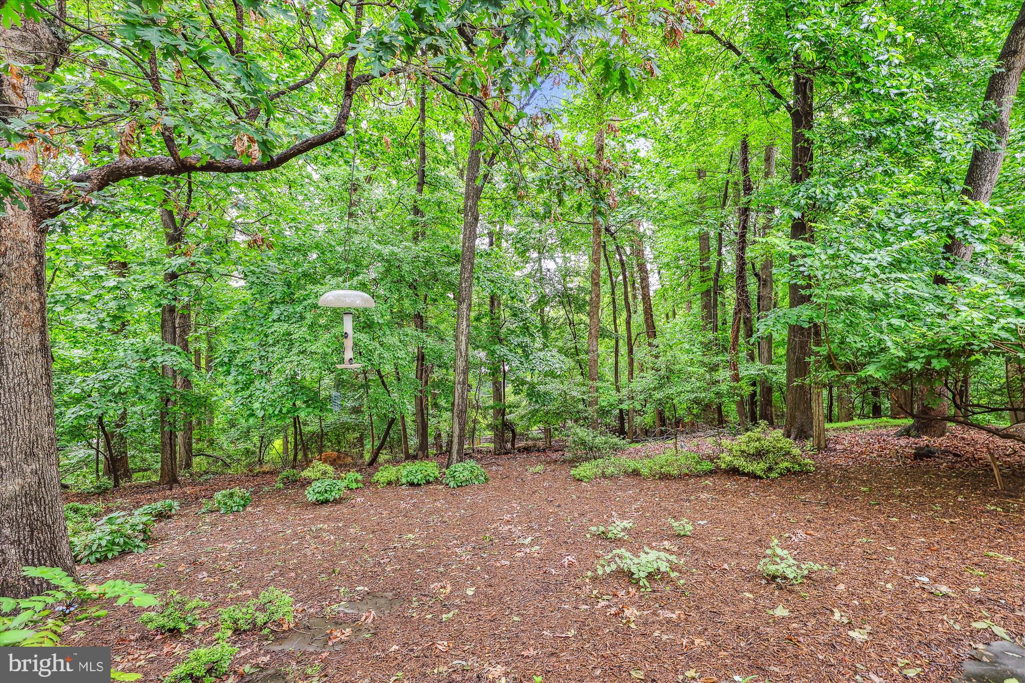 2032 FRANKLIN CLUSTER COURT