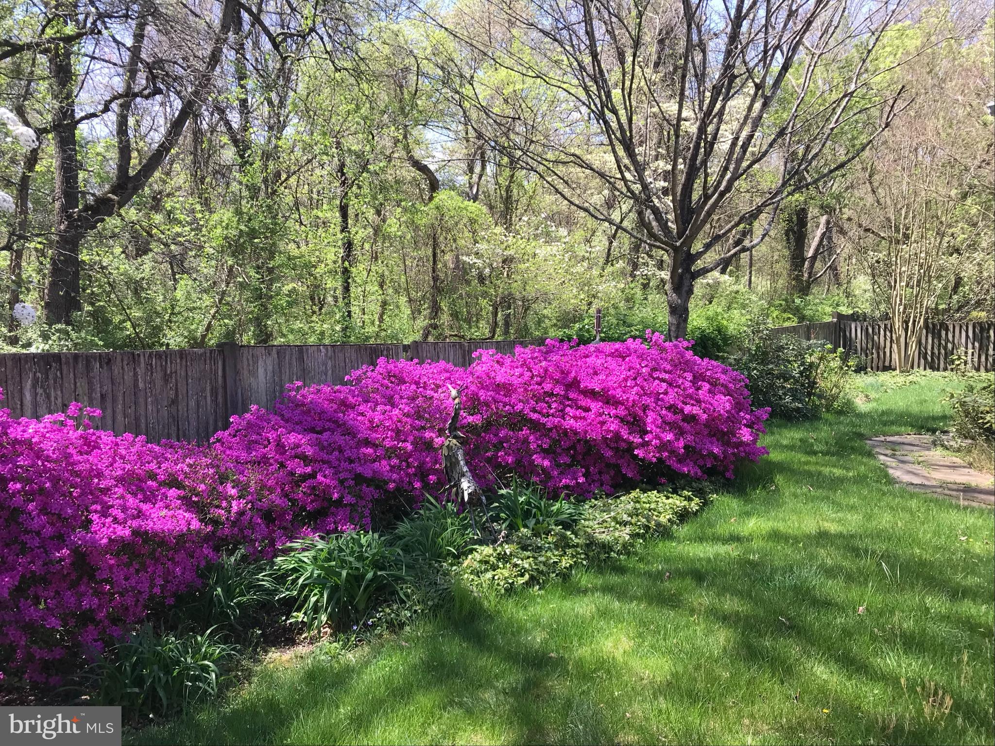 13893 WALNEY PARK DRIVE