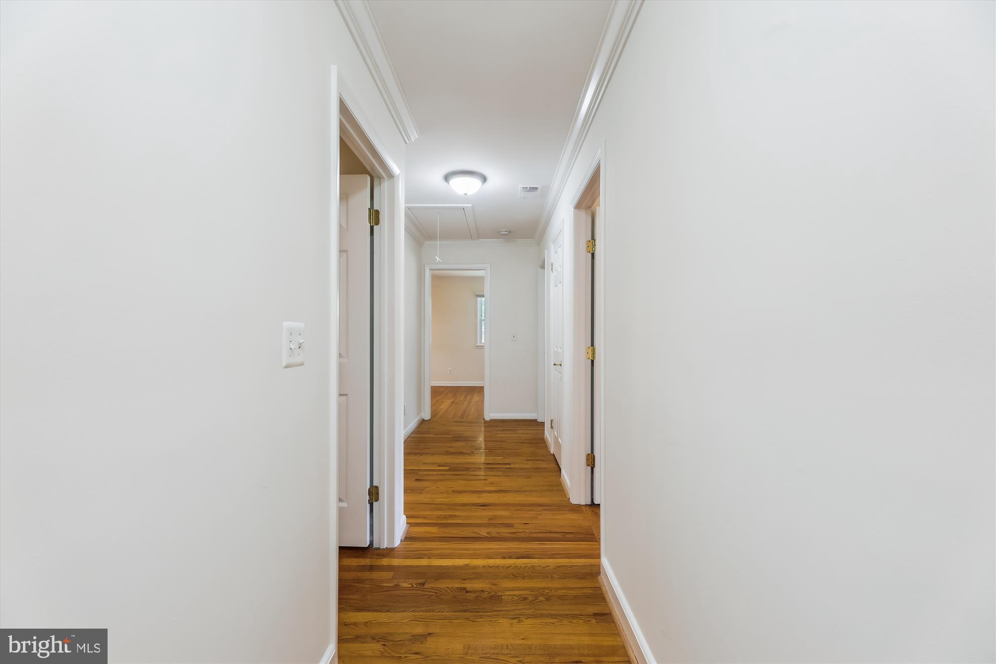 8407 BREWSTER DRIVE