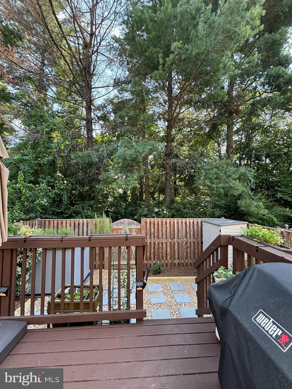 3027 WHITE BIRCH COURT