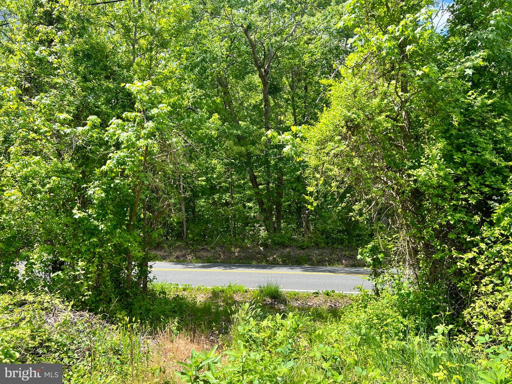 OLD COLCHESTER RD