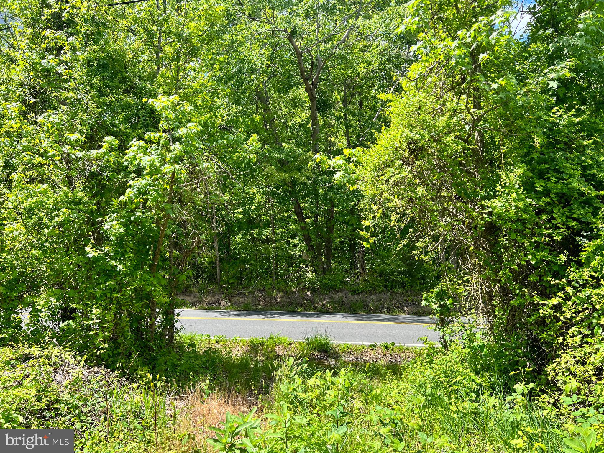 OLD COLCHESTER RD